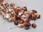 Voordeelzak Paddenstoel Mushrooms  Paddenstoel Mushrooms, Hobby en Vrije tijd, Ophalen of Verzenden, Nieuw