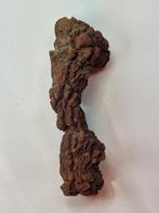 Fossiel fragment - 11 cm (Zonder Minimumprijs)