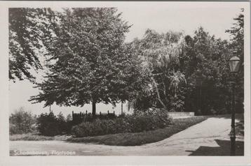 SCHOONHOVEN - Plantsoen beschikbaar voor biedingen