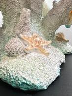 Daluxe Art - 1999 • Sea Turtle Coral Reef, Antiek en Kunst