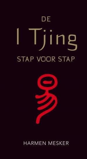 De I Tjing stap voor stap 9789020213515 Harmen Mesker, Boeken, Esoterie en Spiritualiteit, Zo goed als nieuw, Verzenden