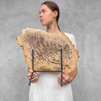 Wonderlijke grote plak versteend hout op maat gemaakte, Antiek en Kunst