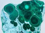 Malachiet van topkwaliteit met Chrysocolla-exemplaar – een, Verzamelen, Mineralen en Fossielen
