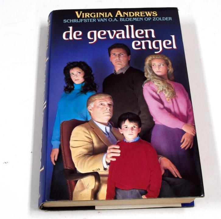Boek Virginia Andrews - De Gevallen Engel CA802, Boeken, Romans, Gelezen, Verzenden