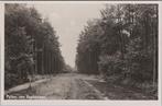 PUTTEN - van Eeghenlaan, Verzenden, Gelopen