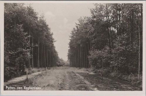 PUTTEN - van Eeghenlaan, Verzamelen, Ansichtkaarten | Nederland, Verzenden