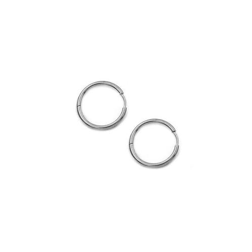 Stainless steel zilveren oorringen 16 mm, Sieraden, Tassen en Uiterlijk, Oorbellen, Nieuw, Verzenden