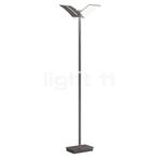 Hell Dual Vloerlamp LED, brons (Staande lampen, Verlichting), Huis en Inrichting, Lampen | Vloerlampen, Verzenden, Nieuw