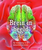 Brein in beeld 9789085714156, Boeken, Zo goed als nieuw