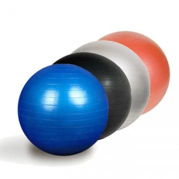 Universele gymbal fitnessbal 65 cm Anti-Burst beschikbaar voor biedingen