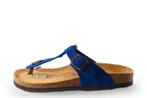 Palado Slippers in maat 38 Blauw | 10% extra korting, Slippers, Palado, Gedragen, Verzenden