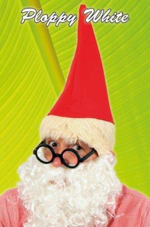 Kabouter baard wit krul, Kleding | Heren, Carnavalskleding en Feestkleding, Nieuw, Ophalen of Verzenden