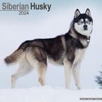 Siberian Husky Calendar 2024  Square Dog Breed Wall Calendar, Boeken, Verzenden, Nieuw