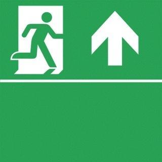 Eaton Blessing Skopos Pictogram Noodverlichting -, Tuin en Terras, Buitenverlichting, Overige typen, Nieuw, Verzenden