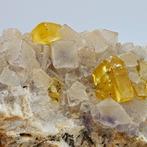 Rarissima bariet mielata op kubische fluoriet, elegant, Verzamelen, Mineralen en Fossielen