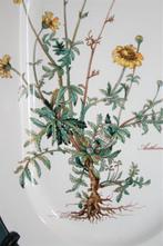 Villeroy & Boch - Serveerschaal - Botanica - Vitro