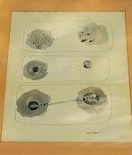 Renzo Bergamo (1934-2004) - Senza titolo