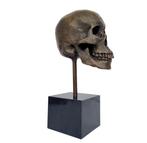 sculptuur, Skull - 36 cm - Brons, Marmer