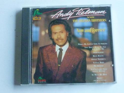 Andy Tielman - Now and Forever, Cd's en Dvd's, Cd's | Pop, Verzenden