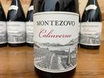 2019 Montezovo Rosso IGT Veronese Calinverno - Veneto - 6, Nieuw