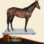 - Paardenweegschaal (1000kg x 200g) ---- € 1599,- !, Dieren en Toebehoren, Nieuw, Ophalen of Verzenden