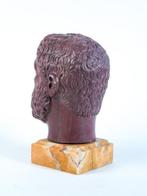 sculptuur, testa di Imperatore - 26 cm - Marmer