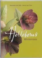 Helleborus 9789058561541 Hanneke van Dijk, Verzenden, Zo goed als nieuw, Hanneke van Dijk