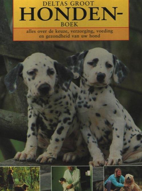 Deltas groot hondenboek 9789024356843 Jane Olver, Boeken, Dieren en Huisdieren, Gelezen, Verzenden