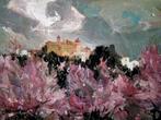 Josep Salas Llorens (1928-2010) - Campos con almendros en
