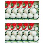 Lente ui zaad | VT | 10 stuks (Bosaardbei), Tuin en Terras, Bloembollen en Zaden, Verzenden