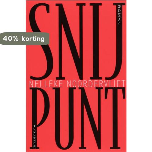 Snijpunt 9789045701448 Nelleke Noordervliet, Boeken, Romans, Gelezen, Verzenden