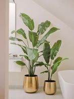 Kunstplant Strelitzia Nicolai | 180cm, Ophalen, Nieuw