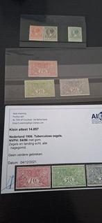 Nederland 1906/1924 - Tuberculosezegels en, Postzegels en Munten, Postzegels | Nederland, Gestempeld