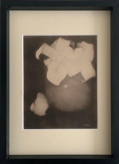 Jan Mankes (1889-1920) - Aronskelk (1911), Antiek en Kunst, Antiek | Overige Antiek