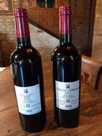 Tenuta di Trinoro: Rosso Toscana 2021 & I Palazzi 2022 -, Verzamelen, Wijnen, Nieuw