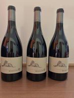 2022 Beyerskloof Diesel Pinotage - Stellenbosch - 3 Flessen, Nieuw