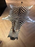 Zebra Taxidermie volledige montage - Equus quagga - 290 cm -, Nieuw