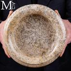 Fossiele fragmenten - Oude zeedieren - Fossiele matrix -, Verzamelen, Mineralen en Fossielen