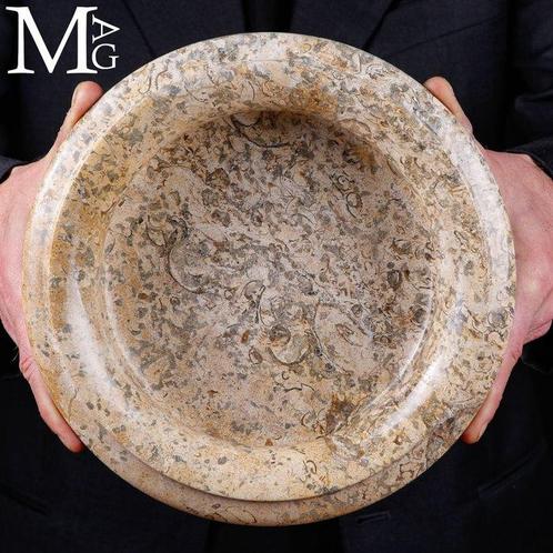Fossiele fragmenten - Oude zeedieren - Fossiele matrix -, Verzamelen, Mineralen en Fossielen