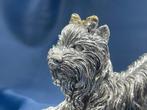 Guido Cacciapuoti - sculptuur, Dog Italian Maltese - 20 cm -