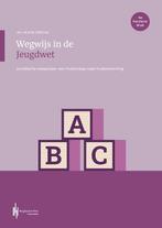 9789493376021 Wegwijs in de Jeugdwet | Tweedehands, Verzenden, Zo goed als nieuw, W.M.B. Elferink