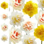Bloembollen - 40 x Narcissen pakket - Collection, Verzenden, Voorjaar, Volle zon, Bloembol
