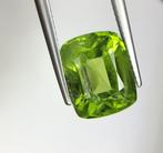 Zonder minimumprijs - 1 pcs Groen Olivijn - 8.36 ct -, Nieuw