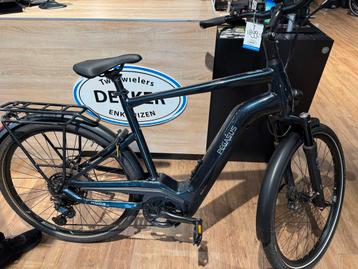 PEGASUS Premio EVO 11 beschikbaar voor biedingen