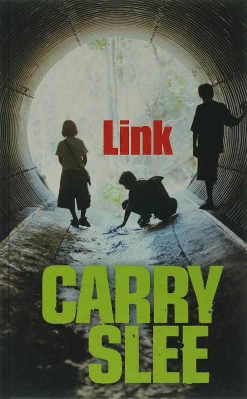 Link / Verhalen om in te duiken 9789049922146 Carry Slee, Boeken, Kinderboeken | Jeugd | 13 jaar en ouder, Zo goed als nieuw, Verzenden