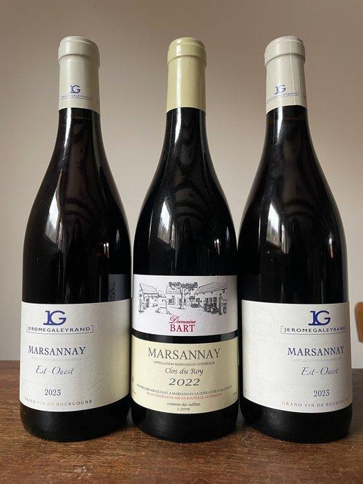 2023 x 2 Domaine Jerome Galeyrand Est Ouest & 2022 Domaine, Verzamelen, Wijnen