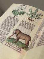 Matthaeus Platearius - Herbolaire Estense - 2008, Antiek en Kunst, Antiek | Boeken en Bijbels