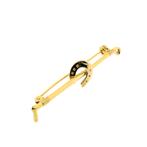 Gouden broche van een hoefijzer (vintage, veer broche, veer), Sieraden, Tassen en Uiterlijk, Broches, Ophalen of Verzenden, Gebruikt