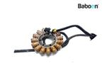 Dynamo Laadspoel Ducati Multistrada 1200 Enduro 2016-2018, Motoren, Verzenden, Gebruikt