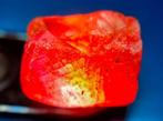 34,1 ct - POKER GEMS - Natuurlijke smaragd, robijn, saffier,